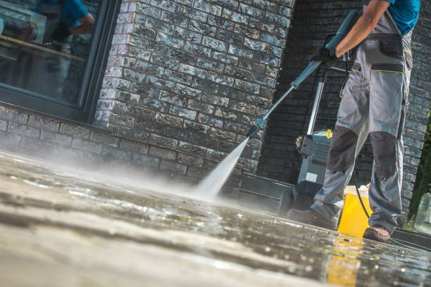 Best Sidewalk and Walkway Cleaning  in Ravenel, SC
