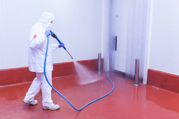 Best Warehouse Cleaning  in Ravenel, SC